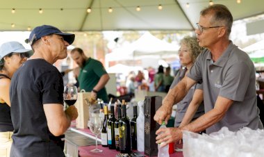 Festival Vale dos Vinhedos estreia celebrando a vindima com experiências abertas ao público