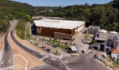 Cooperativa Vinícola Aurora completa 95 anos com faturamento recorde de R$ 874 milhões