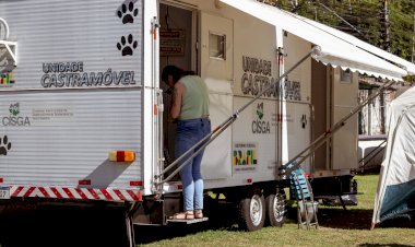 Mutirão de castrações inicia suas atividades no município e vai atender mais de 200 bichinhos