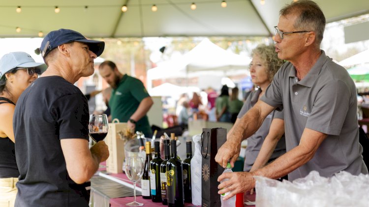 Festival Vale dos Vinhedos estreia celebrando a vindima com experiências abertas ao público