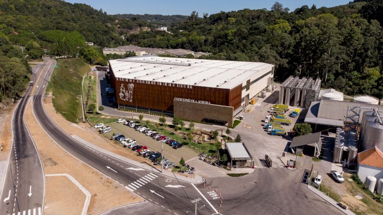Cooperativa Vinícola Aurora completa 95 anos com faturamento recorde de R$ 874 milhões
